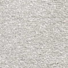arcticgrey_282273299