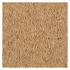 arrowroot