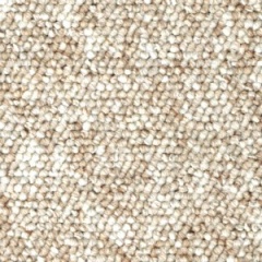 berberbeige300