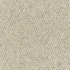 bone_1219706159