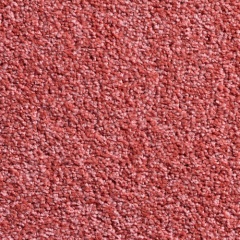 coral_13_baileys