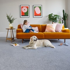 cormar-carpets-apollo-plus