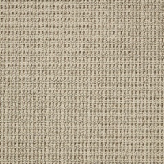 cormar-carpets-pimlico_lace