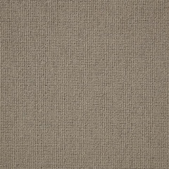 cormar-carpets-pimlico_loam