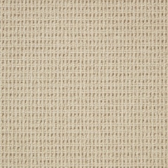 cormar-carpets-pimlico_palm-beach