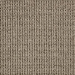 cormar-carpets-pimlico_sepia