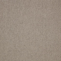 cormar-carpets-pimlico_wild-rice
