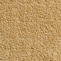 corn_1142057647