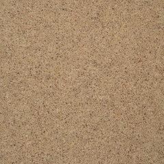cornsilk