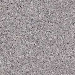 dove_grey_2024382259