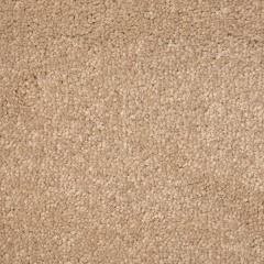 dove_grey_2047883150