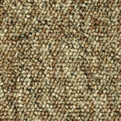 dovetail300_1776786375