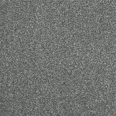 fossil_1756244970