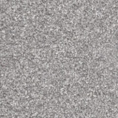 homertongrey_1213411498