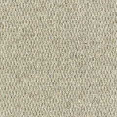 husky_grey