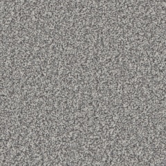 kingston_silver_birch