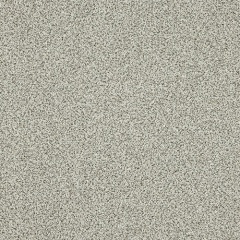 knightsbridge-fossil