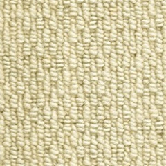 llama
