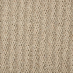 malabar_reed
