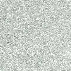 mistymorning_1027777309