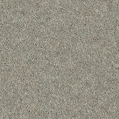 mountain_larch