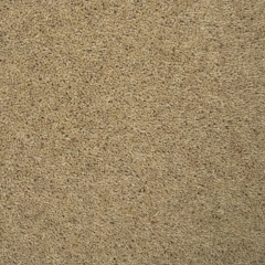 oat_1143487801