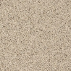 pine_nut