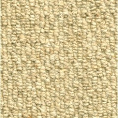 sahara