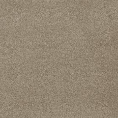 sep-sandysteps