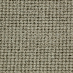 shadow_1023518412