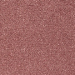shoreline-coral