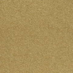 shoreline-golden-bay