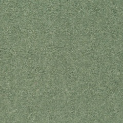 shoreline-samphire