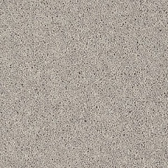 silver_fox_418877557