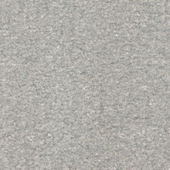 sir-lavastone_2037171546