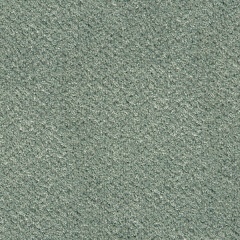 spearmint_505871668