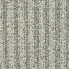 squirrel_116860340