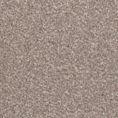 steppingstone_811747776