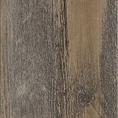 sun_bleached_spruce