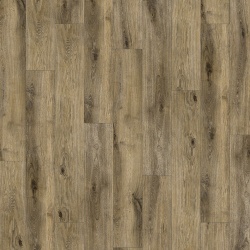 aged_oak_813614539