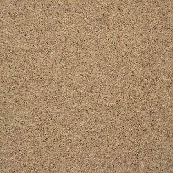 cornsilk