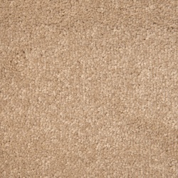 dove_grey_2047883150