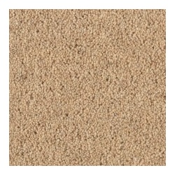 dune_1634865727