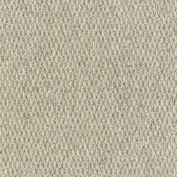 husky_grey