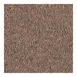 sea_lavender_498473195